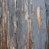 Replace rotten wood